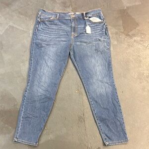 18W Terra & Sky Women's Blue Skinny Jeans